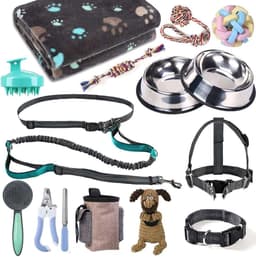 Pet Accessories & Supplies