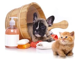 Pet Grooming & Care