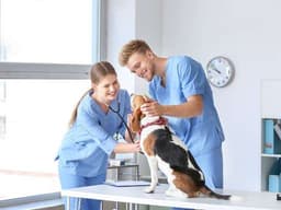 Veterinary Services